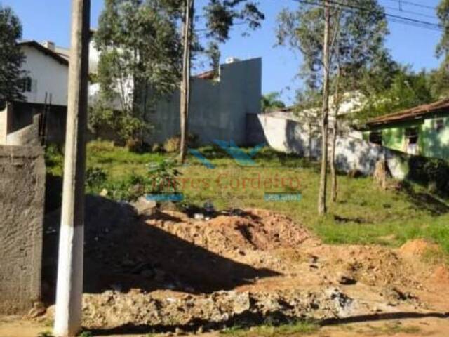 Terreno para Venda em São Paulo - 5