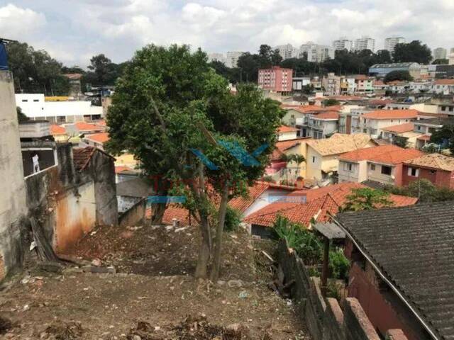 Área para Venda em São Paulo - 4